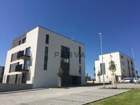 Pronájem bytu 1+kk, Plzeň - Litice, Hrachová, 33 m2