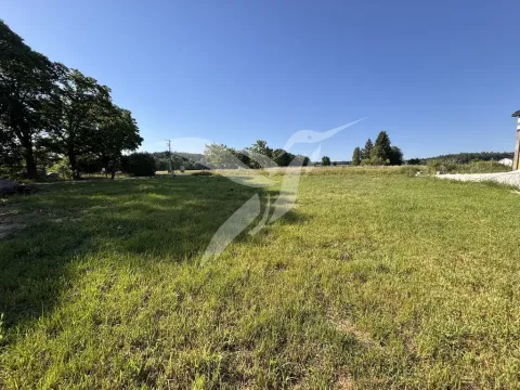 Prodej pozemku, Střížovice, Střížovice, 1076 m2