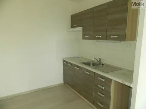 Pronájem bytu 1+kk, Most, Česká, 33 m2