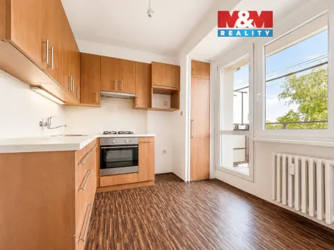 Prodej bytu 1+1, Ostrava - Hrabůvka, Klegova, 38 m2