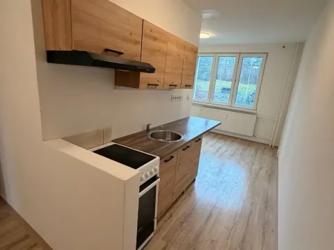 Pronájem bytu 2+1, Chomutov, Školní pěšina, 50 m2