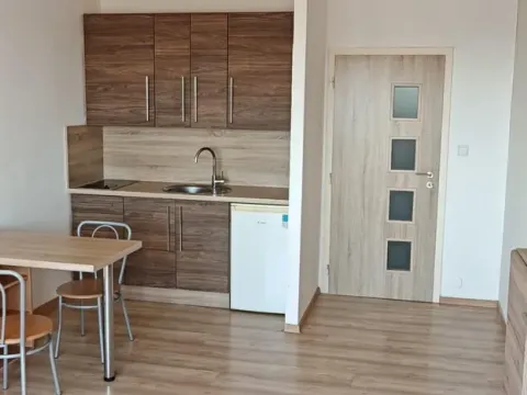 Pronájem bytu 1+kk, Ostrava - Moravská Ostrava, Lechowiczova, 30 m2