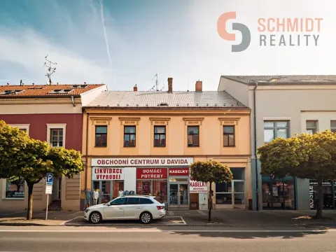 Prodej obchodního prostoru, Břeclav, 17. listopadu, 900 m2