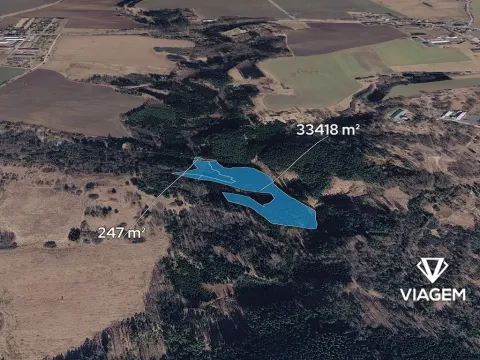 Prodej podílu lesa, Tábor, 3740 m2