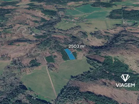 Prodej podílu lesa, Chotěboř, 834 m2