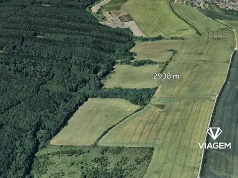 Prodej lesa, Šarovy, 2938 m2