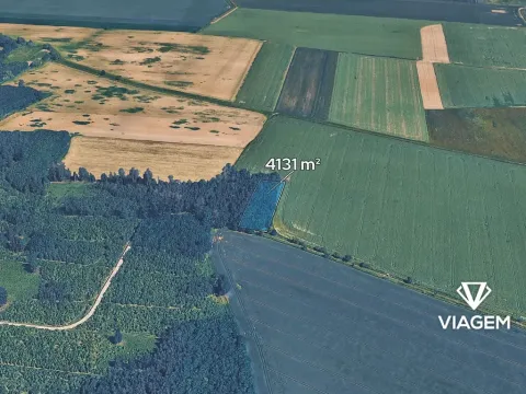 Prodej podílu lesa, Sviny, 1377 m2