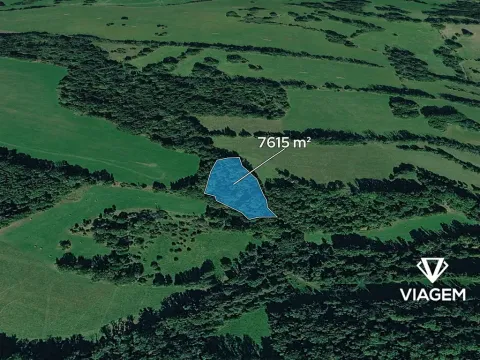 Prodej podílu lesa, Heřmanov, 2538 m2