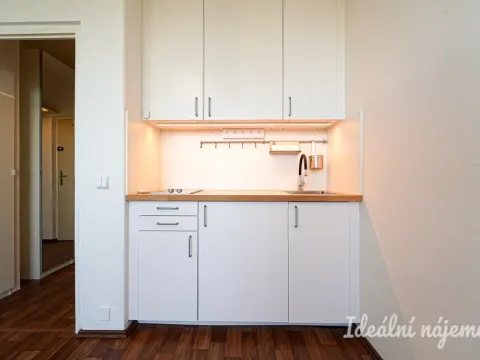 Pronájem bytu 1+kk, Brno, Halasovo náměstí, 20 m2