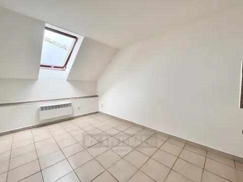 Pronájem bytu 1+kk, České Budějovice - České Budějovice 4, Dobrovodská, 23 m2