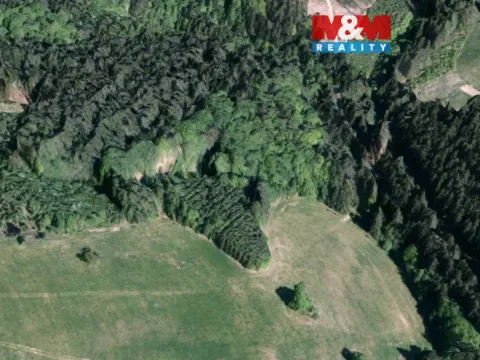 Prodej lesa, Valašská Senice, 8743 m2