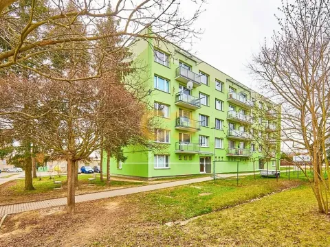 Prodej bytu 2+1, Vodňany, Smetanova, 60 m2