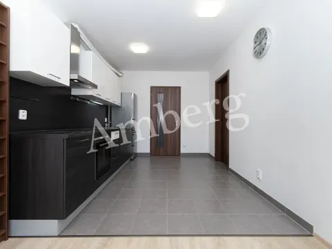 Prodej bytu 2+kk, Praha - Žižkov, Na Vackově, 53 m2