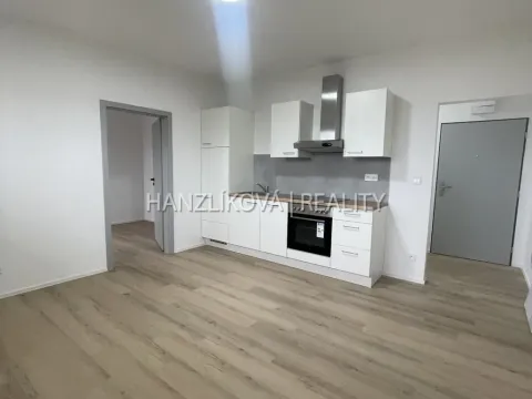 Pronájem bytu 2+1, České Budějovice - České Budějovice 4, Rudolfovská tř., 50 m2