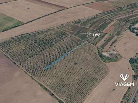 Prodej podílu pole, Mikulčice, 418 m2