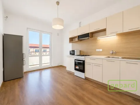 Prodej bytu 2+1, Ostrov, S. K. Neumanna, 64 m2