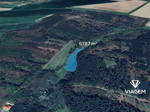 Prodej podílu pole, Morašice, 3959 m2