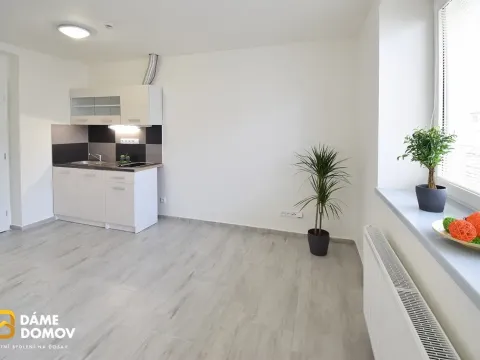 Pronájem bytu 1+kk, Zlín - Malenovice, Tečovská, 26 m2