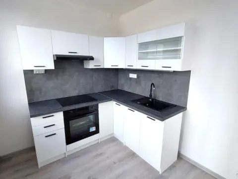 Pronájem bytu 3+1, Most, Javorová, 72 m2