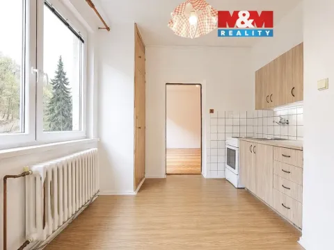 Prodej bytu 2+1, Šternberk, Dolní Žleb, 58 m2