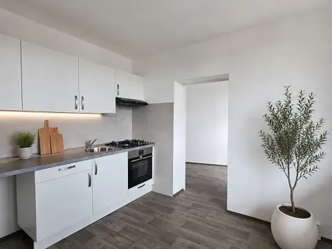 Pronájem bytu 4+1, Litvínov, Studentská, 69 m2