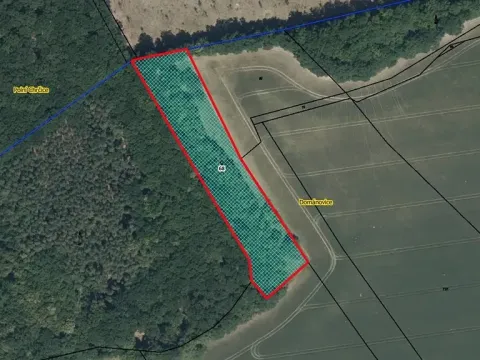 Prodej pozemku, Dománovice, 5593 m2