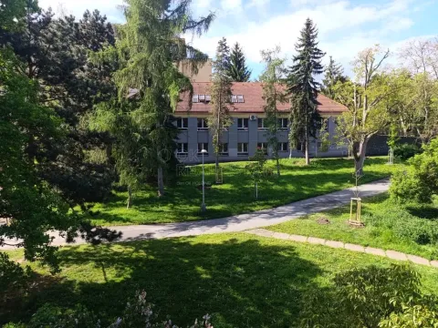 Pronájem bytu 1+kk, Praha, Jeremenkova, 28 m2