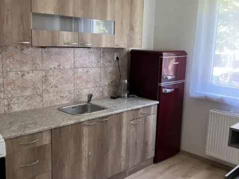 Prodej bytu 1+1, Olomouc - Nové Sady, Družební, 35 m2