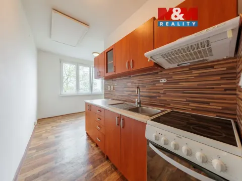 Pronájem bytu 2+1, Jenišov, 62 m2