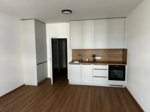 Pronájem bytu 1+kk, Praha - Vysočany, Gerstelova, 35 m2