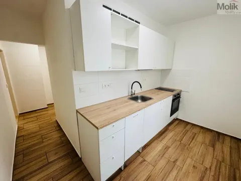 Pronájem bytu 2+1, Most, Maxe Švabinského, 53 m2