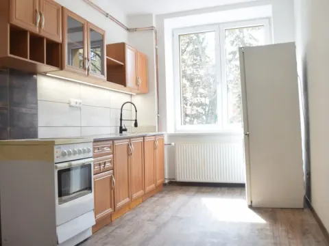 Pronájem bytu 1+1, Ostrava - Zábřeh, Březinova, 45 m2