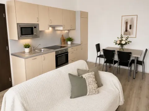 Pronájem bytu 2+kk, Brno, Minská, 42 m2
