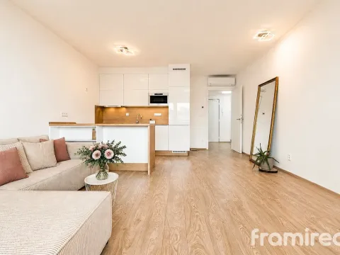 Pronájem bytu 2+kk, Brno - Zábrdovice, Bratislavská, 65 m2