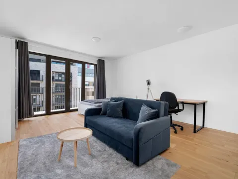 Prodej bytu 1+kk, Brno - Zábrdovice, Bratislavská, 38 m2
