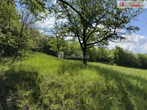 Prodej louky, Uherské Hradiště, Partyzánská, 5056 m2