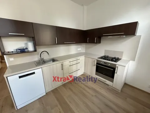 Pronájem bytu 2+1, Teplice, Křičkova, 80 m2