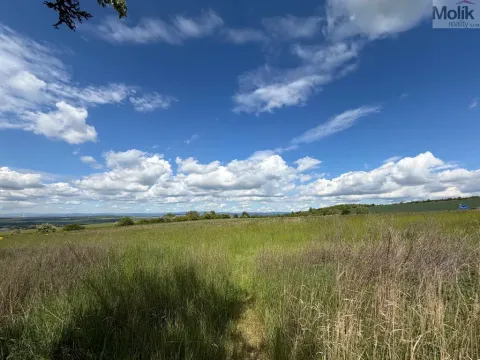 Prodej pozemku pro bydlení, Skršín, 4578 m2
