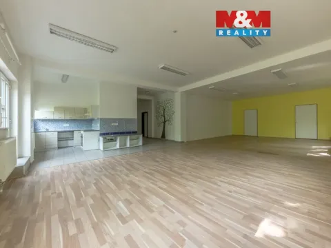 Pronájem komerční nemovitosti, Zdiby - Přemyšlení, U Továrny, 175 m2