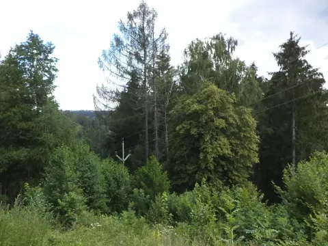 Dražba louky, Nové Hrady, 766 m2