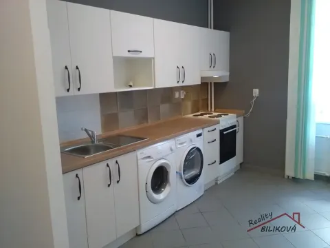 Pronájem bytu 1+1, Kostelec nad Labem, T. G. Masaryka, 45 m2