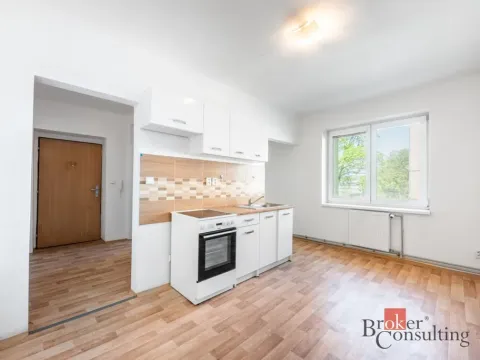 Prodej bytu 1+1, Ostrava - Přívoz, Palackého, 45 m2