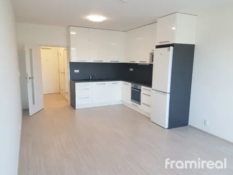Pronájem bytu 1+kk, Brno, Reissigova, 34 m2