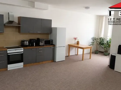 Pronájem bytu 2+kk, Opava, Sněmovní, 90 m2