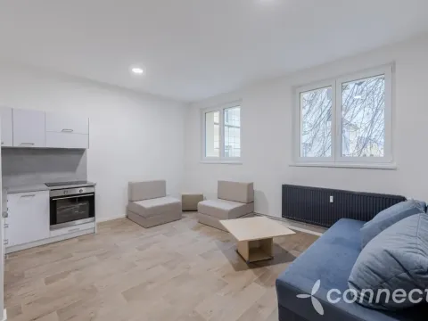 Pronájem bytu 1+kk, Přerov - Přerov I-Město, Husova, 30 m2
