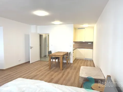 Pronájem bytu 1+kk, České Budějovice, Česká, 29 m2