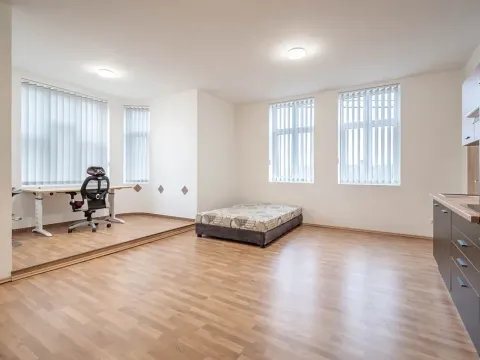 Pronájem bytu 1+kk, Čistá, 45 m2