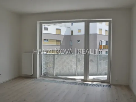 Pronájem bytu 1+kk, České Budějovice - České Budějovice 2, Volejbalistů, 28 m2