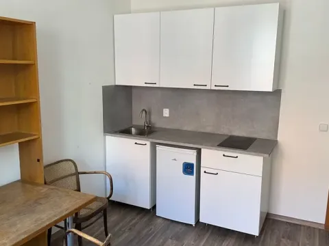 Pronájem bytu 1+kk, Praha - Nové Město, Navrátilova, 22 m2