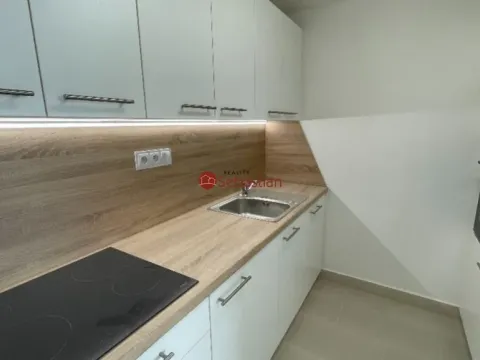 Pronájem bytu 2+1, Teplice - Trnovany, Antonína Sochora, 40 m2